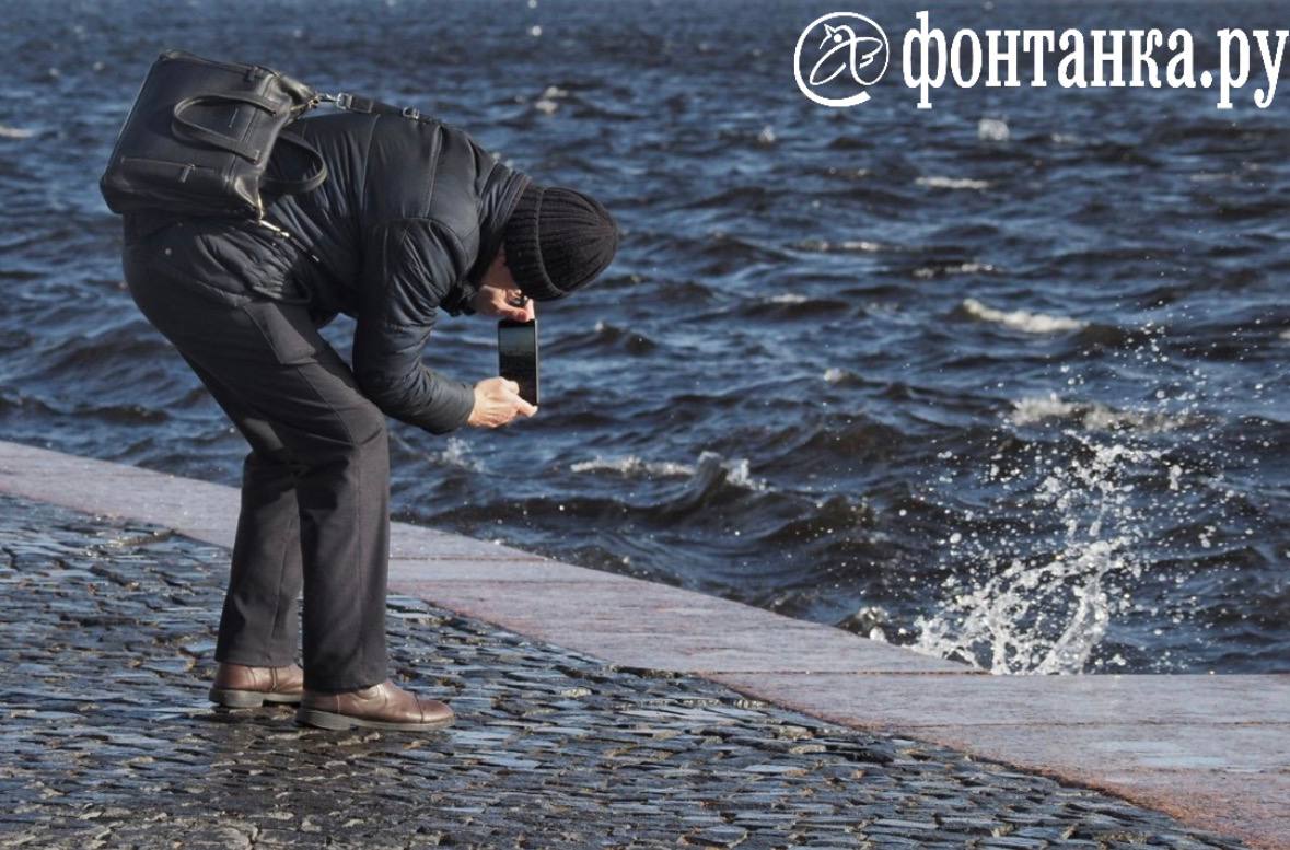 Ветер — лучший массовик-затейник Ветер — лучший массовик-затейник