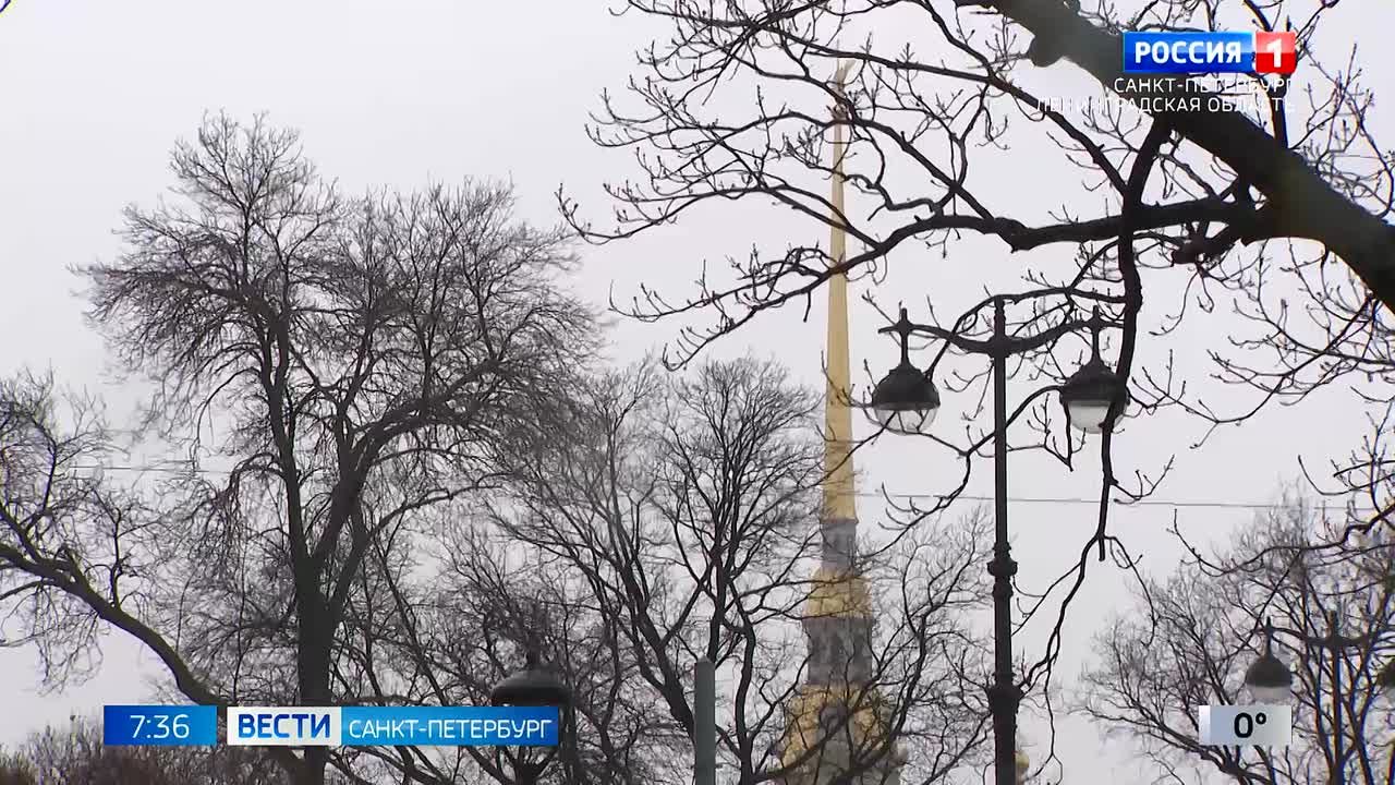 В Петербурге из-за сильного ветра объявлен жёлтый уровень погодной опасности