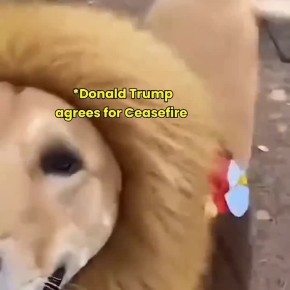 ���������� ������.. �� ���� �������������� �����, � �� ������ ����