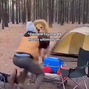 ������ ������: ����������� ������ �����