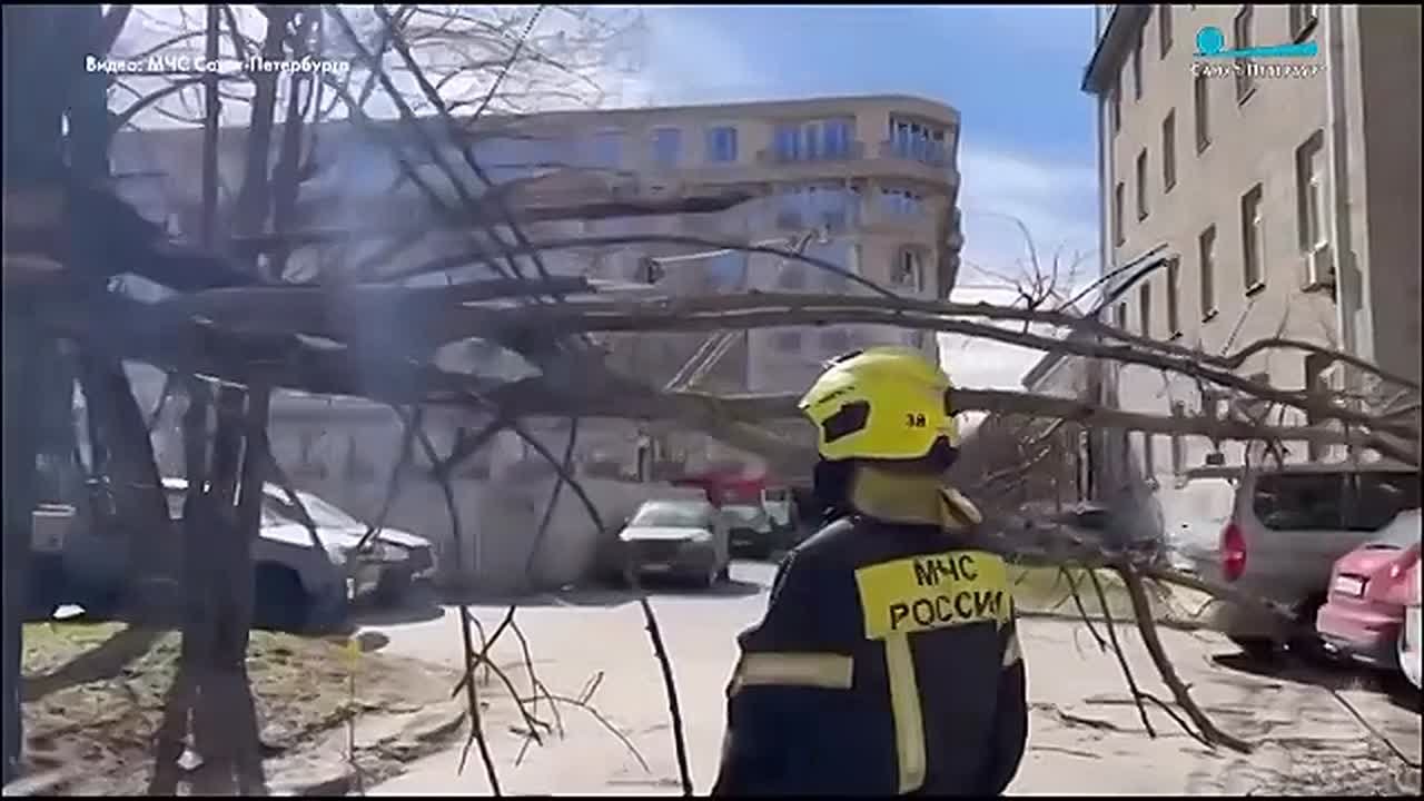 В Петербурге сегодня из-за ветра рухнули 39 деревьев