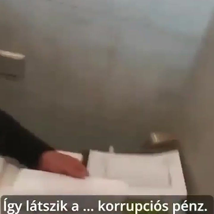 ������� ���, ������ � �������� �� ��������: ���������� ������������ ��������, ��� �������� ������� ����������