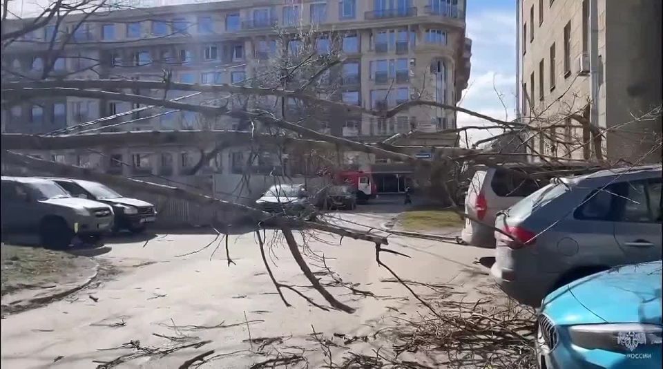 ����� ��������� ��-�� ����� �������� �������� �� 39. ��� ���������� �������� ����� ������ �� ����������� ��������� ����