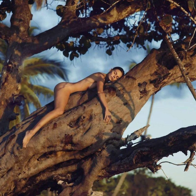 ���� ����: �������� ������� � ���������� ����������