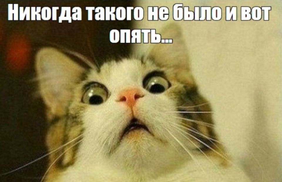 #���_���������� �������������: �� ���������� ���� "������-�������� ����", � �����-���������� 9 ������ ������� ��������� ������ ����� �� 15 �/�