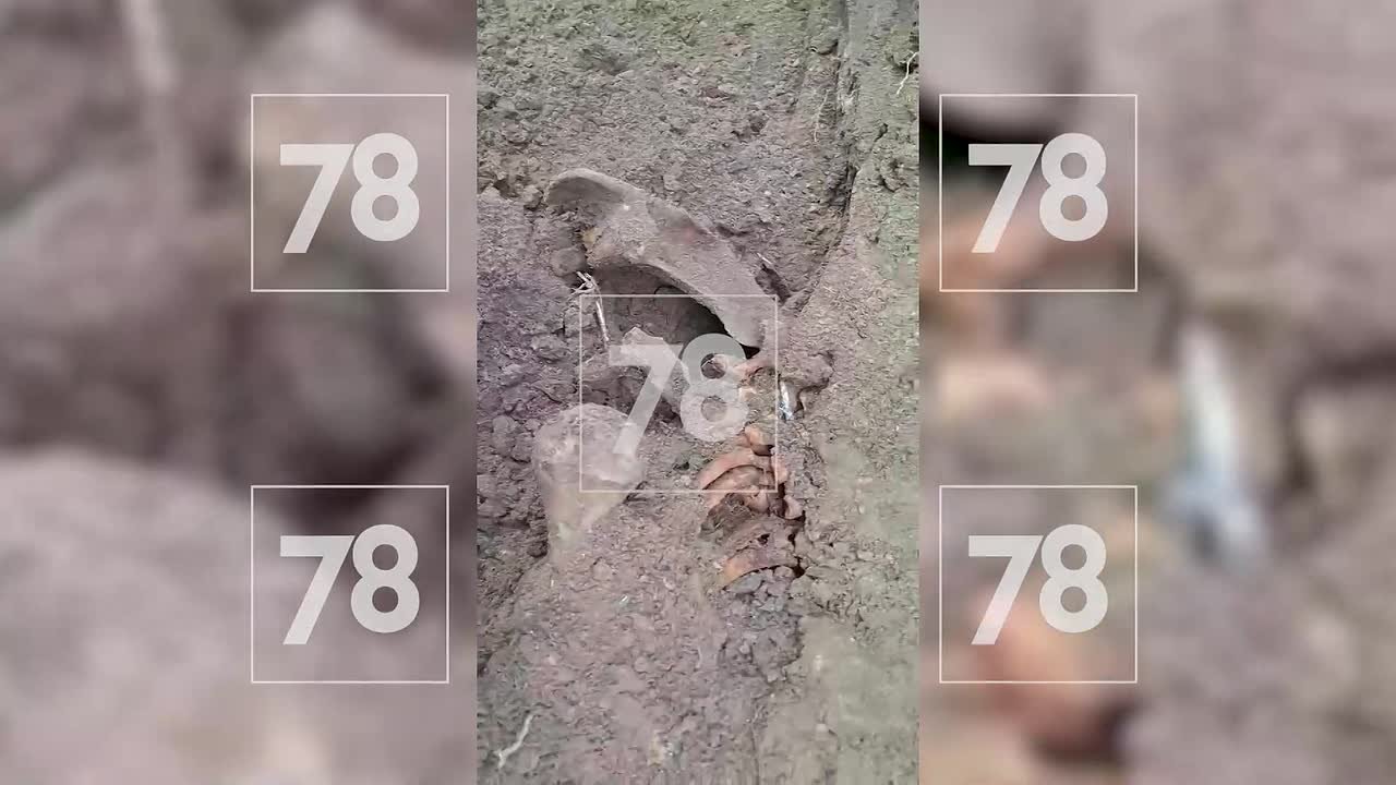Останки 40 бойцов времен ВОВ нашли в Ленобласти при раскопках