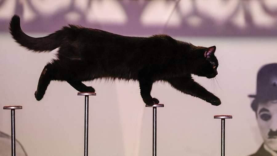 ����, ����� � ����: ��������� �������� ��� ������� ������ � ������ ���������