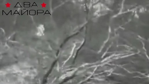 ��� ������: ����������� �����������. ��������� 33-�� ��������������� ����� ������� ������� ����� ������ ������