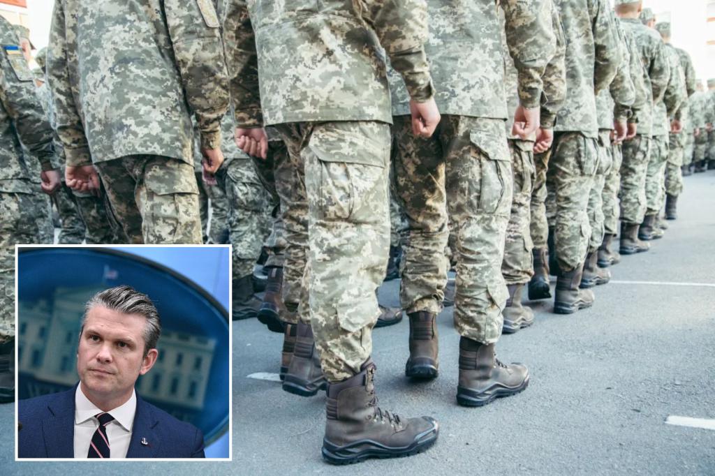 Елена Панина: Годных по здоровью американцев поставят на воинский учёт автоматом