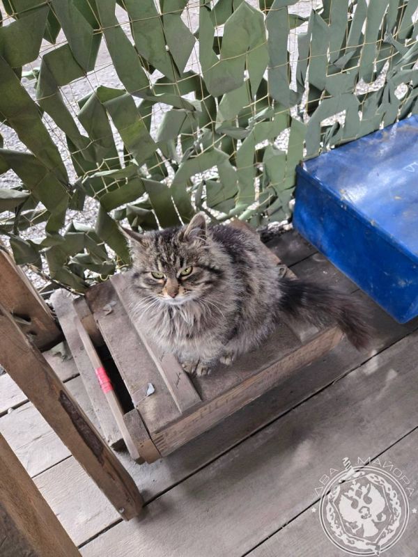 ��� ������: ������� ������ �������