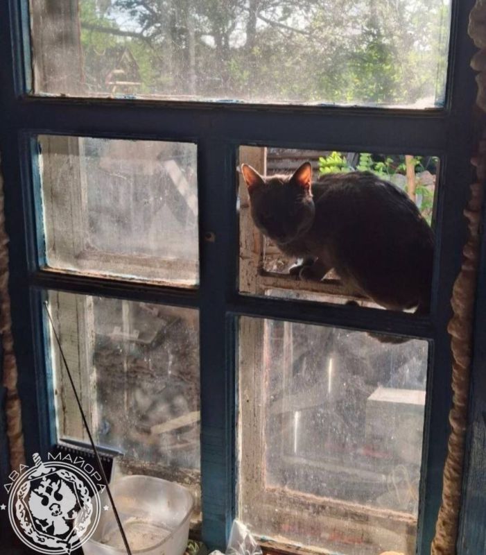 ��� ������: ������� ������ �������