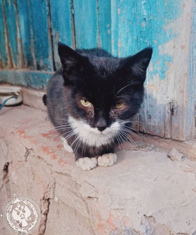 ��� ������: ������� ������ �������