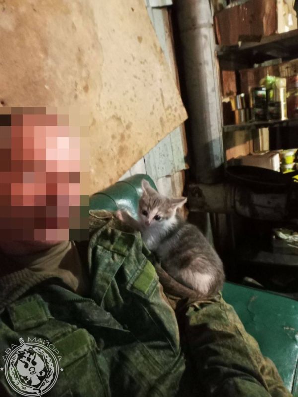 ��� ������: ������� ������ �������