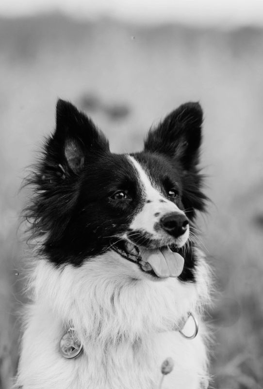 ���� ��������� ����� ���������� ���������� �� ���������� � ��������� �������