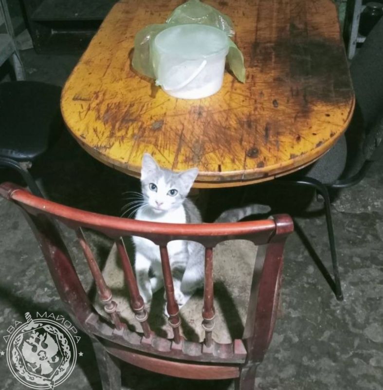 ��� ������: ������� ������ �������