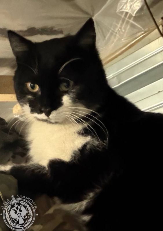 ��� ������: ������� ������ �������