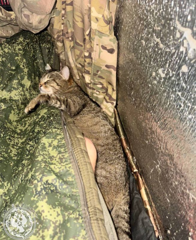 ��� ������: ������� ������ �������