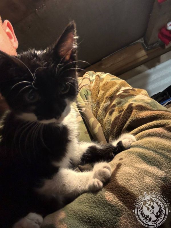 ��� ������: ������� ������ �������