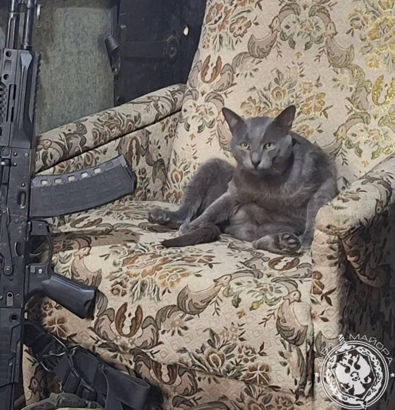 ��� ������: ������� ������ �������