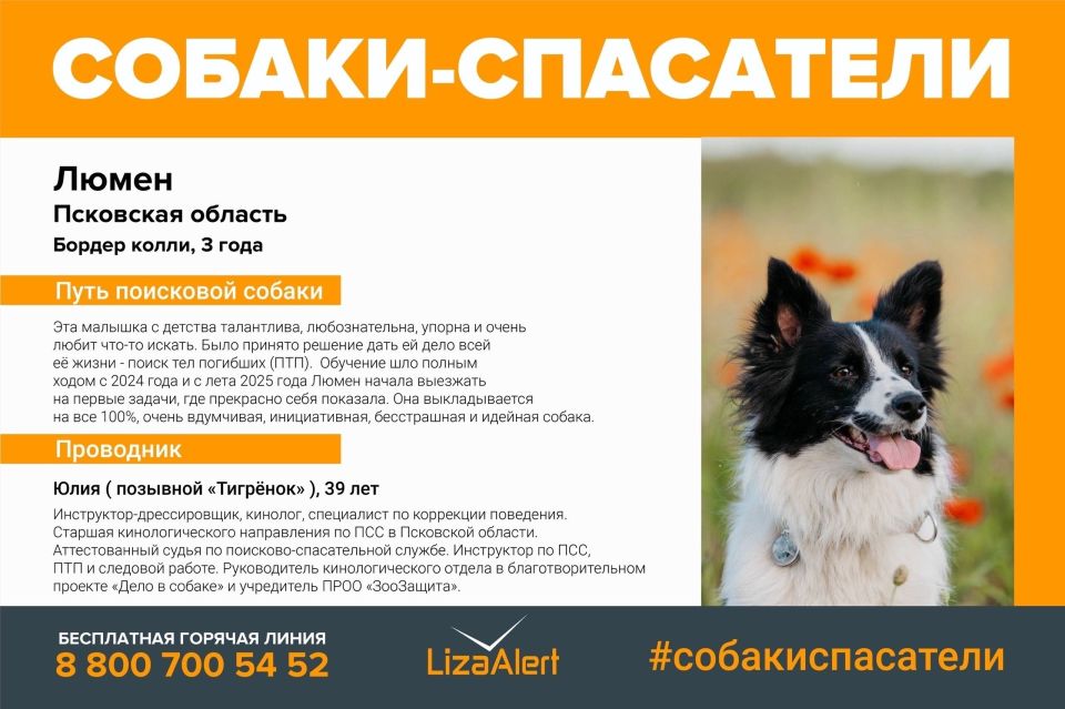 ���� ��������� ����� ���������� ���������� �� ���������� � ��������� �������