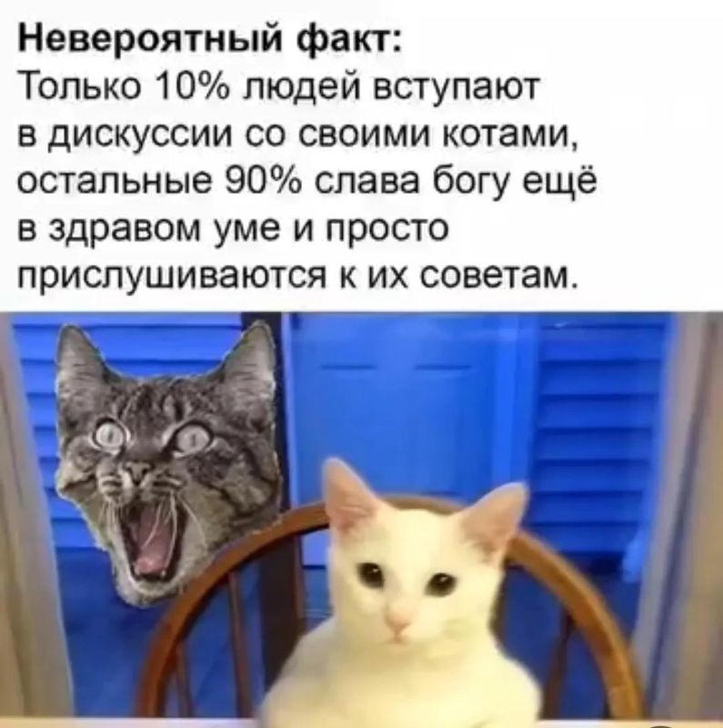 ������ ����������: �� ��� ��� ������� � ����? ��� ���� �������?