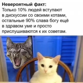 ������ ����������: �� ��� ��� ������� � ����? ��� ���� �������?