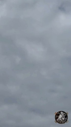 ����-��� "����" ������������ ������������ �������� ���� ����������� ���� ���