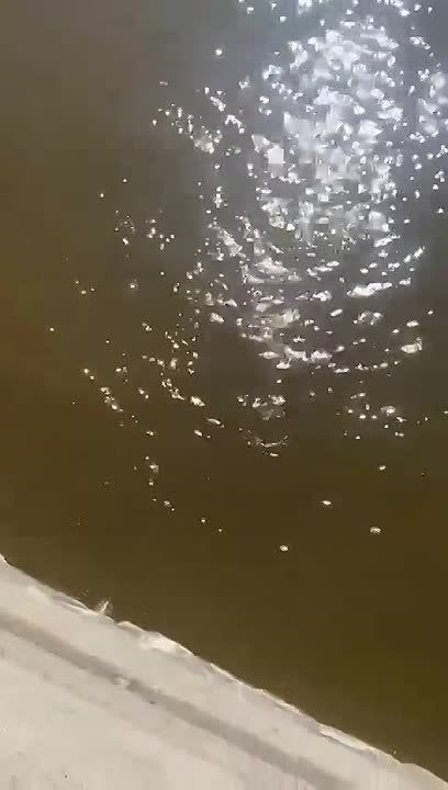� ���������� ��������� ������ ������� � ������� � �������� �����