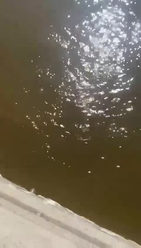 � ���������� ��������� ������ ������� � ������� � �������� �����