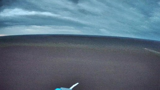 ����������� ���������� ��� � ������ �.�. �������� �������, ������ ������ ���������� ���� 38 ����������� �������������� ������� 35 ����� ����������� ����� "������"