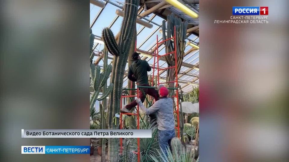 � ������������ ���� ����� �������� ���������� ���������� ������