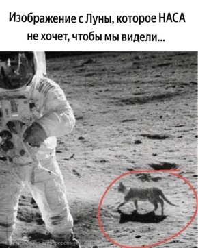 ������ ����������: � ��� � �������, �� ������� ������ Artemis II ����� ����������� ��� ������!