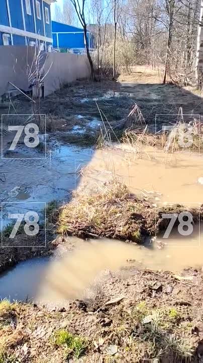 В Колпино прорвало трубу с холодной водой