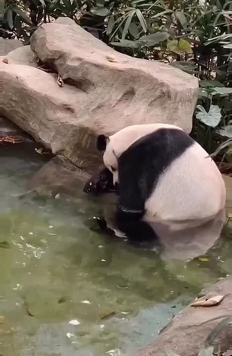 ���� ����� �� �������.. ���������� ��������, ������! ������