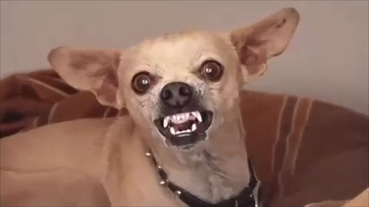 �� ������� ����� ��� �������� � ������������� ������ ����� � ������������� �����, ������� �������� ������� �����