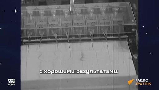 �� 3461 �������� �������� ����