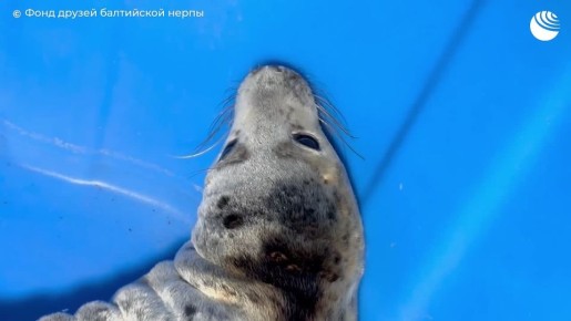 �������� ������ ������ �� ������ �������� ������