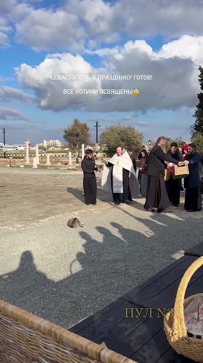 Не всё коту масленица?. Кстати, а окончание поговорки знаете? Напоминаем: «Будет и Великий пост!» Ну а теперь, в Светлую Пасху, как даже коту не возрадоваться! Вот и в Севастополе накануне праздника священник окропил усатого...