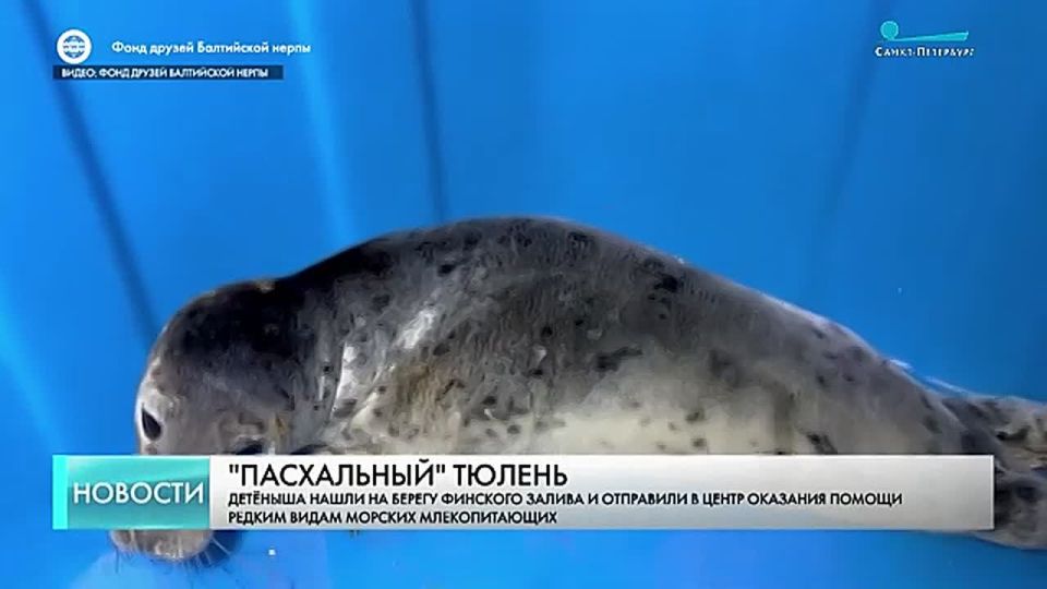 ����������� ������ ������ � ����� ������ ������ ����� ������� �������������