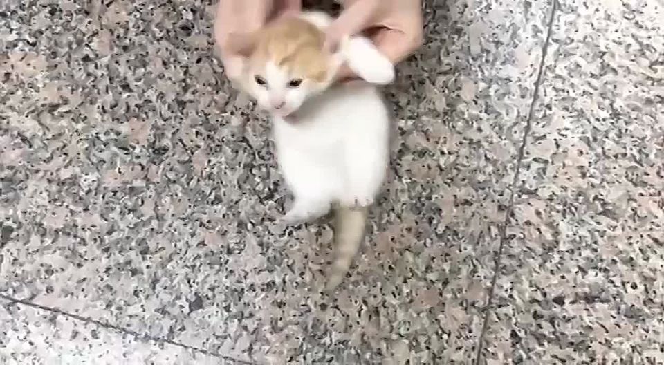 ������ ����������: � �����-������ �� ������������ ����������� ����������� �� ��� ����� ��������� ���� ��������!