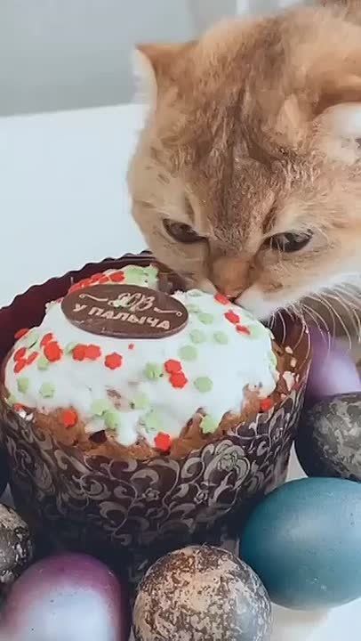 ������ ����������: ������ ������ �����������