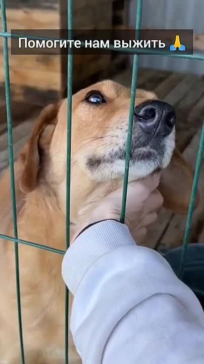 ���� ��������: �������, ��������!. ������ ����������� � ��� ����� ����� ���� ���������! � ������ ���������� ���� � �������� ������ ����