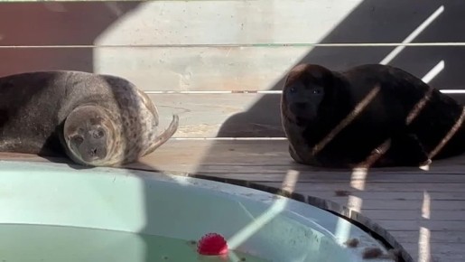 �������� ������ � ������� ��������� � �������� ��������� ��� ��������� ����