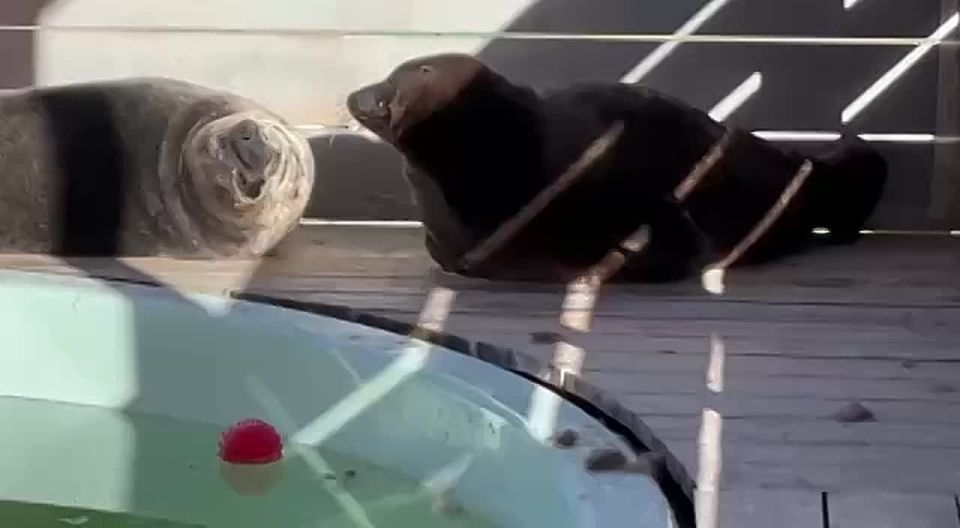 ��������� ����� ������� � ������ ������ ������