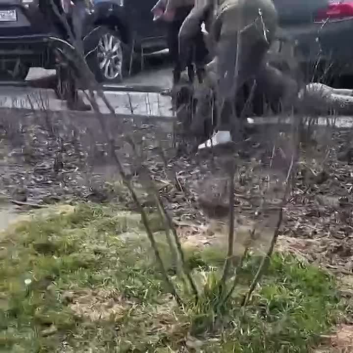���������� ��� ��������� ���� ����� � ����� � ����� � ��������� ������ ������� �������� ������� ����