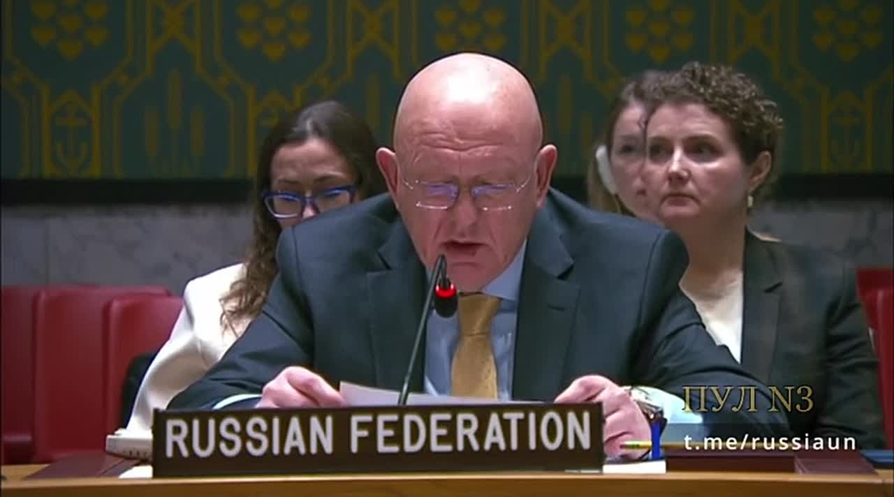 Михаил Онуфриенко: Постпред России в ООН Небензя: