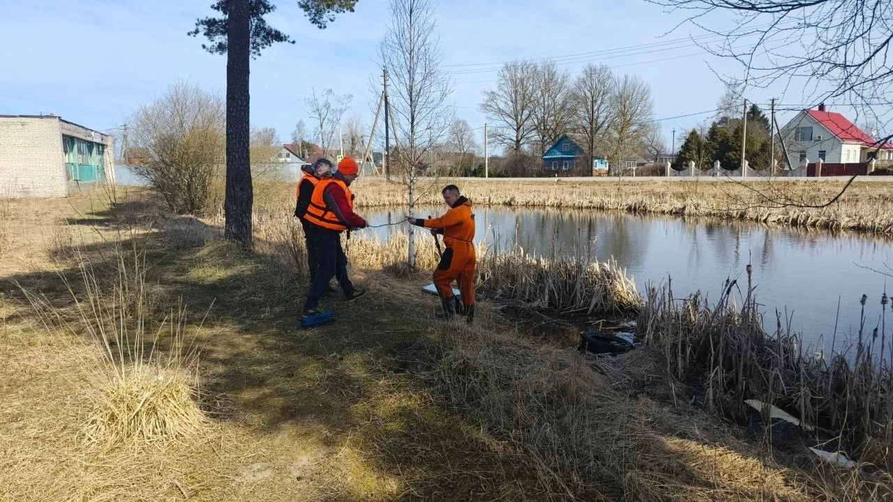 В водоеме Волосовского района нашли тело пропавшего без вести мужчины В водоеме Волосовского района нашли тело пропавшего без вести мужчины