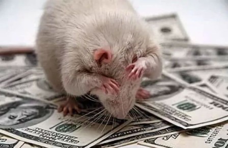 Воровал миллионами деньги семей погибших солдат