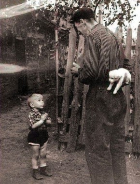 �� ��������� �� �������, 1955 �