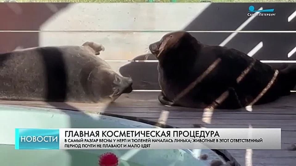 �� ���� ������ ������ ������ ����� � ������